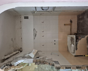 Griovimo darbai šiukšliu išvežimas / Audrius / Darbų pavyzdys ID 3995493
