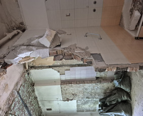 Griovimo darbai šiukšliu išvežimas / Audrius / Darbų pavyzdys ID 3995497