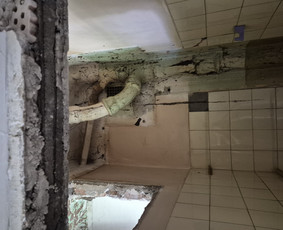 Griovimo darbai šiukšliu išvežimas / Audrius / Darbų pavyzdys ID 3995501