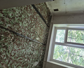 Griovimo darbai šiukšliu išvežimas / Audrius / Darbų pavyzdys ID 3995503