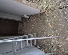 Griovimo darbai šiukšliu išvežimas / Audrius / Darbų pavyzdys ID 3995507