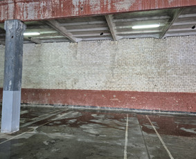 Griovimo darbai šiukšliu išvežimas / Audrius / Darbų pavyzdys ID 3995509