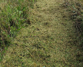 Žemės frezavimas / Žolės pjovimas kiti Gerbuvio darbai / VšĮ Heide / Darbų pavyzdys ID 3996213