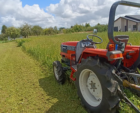 Žemės frezavimas / Žolės pjovimas kiti Gerbuvio darbai / VšĮ Heide / Darbų pavyzdys ID 3996219