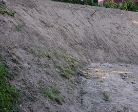Bobcat T-190 Nuoma Su Operatorium - Drenažo įrengimas - 1 Drenažo įrengimas - Bobcat T-190 Nuoma Su Operatorium - 1