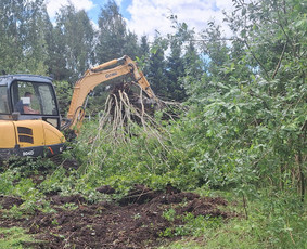 Ekskavatoriaus nuoma - Sklypų lyginimas.vejos irengimas apželdinimo darbai - 3