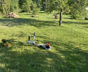 Vejos, pievų, šienavimas - Aplinka, sodas - 2 Aplinka, sodas - Vejos, pievų, šienavimas - 2