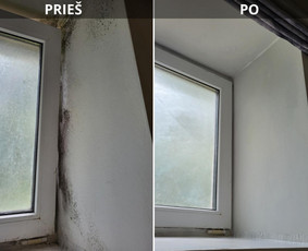 Visos valymo paslaugos. Dirbame visoje Lietuvoje ! / MB "HD Clean" / Darbų pavyzdys ID 3999933