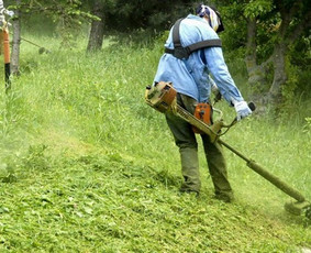 Žolės Pjovimas Trimeriu! - Vejos priežiūra, įrengimas - 1 Vejos priežiūra, įrengimas - Žolės Pjovimas Trimeriu! - 1