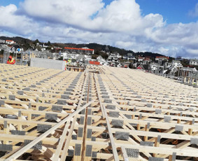 Statybos, apdaila - Stogų dengimas, karkasiniai namai, vidaus apdaila. - 4