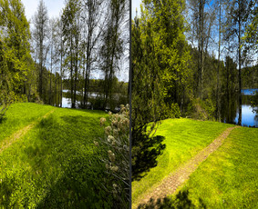 Vėjos, žolės pjovimas. Žolės skarifikavimas. - Aplinka, sodas - 4 Aplinka, sodas - Vėjos, žolės pjovimas. Žolės skarifikavimas. - 4