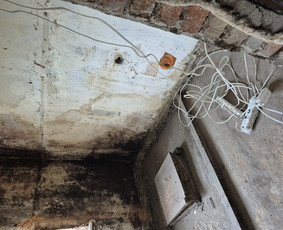 Griovimo darbai šiukšliu išvežimas / Audrius / Darbų pavyzdys ID 4004969