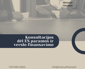 Es paramos paraiškų, verslo planų, projektų rengimas / Išmanūs finansai / Darbų pavyzdys ID 4005059