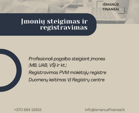 Es paramos paraiškų, verslo planų, projektų rengimas / Išmanūs finansai / Darbų pavyzdys ID 4005061