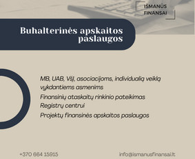 Es paramos paraiškų, verslo planų, projektų rengimas / Išmanūs finansai / Darbų pavyzdys ID 4005063