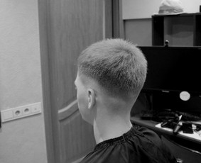 Kirpimo paslaugos su iškvietimu į namus Vilniuje. / Natalija Tumkevič / Darbų pavyzdys ID 4006579