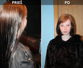 Kirpimo paslaugos su iškvietimu į namus Vilniuje. / Natalija Tumkevič / Darbų pavyzdys ID 4006627