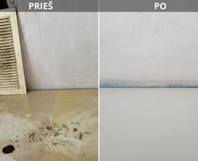 Visos valymo paslaugos. Dirbame visoje Lietuvoje ! / MB "HD Clean" / Darbų pavyzdys ID 4007133