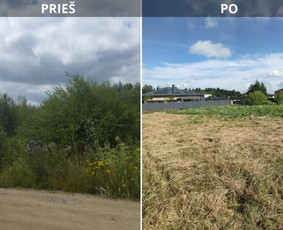 Tvarkingi Sklypai Panevėžyje / Egidijus Ablėnas / Darbų pavyzdys ID 4007207