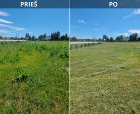 Žolės pjovimas ir aplinkos priežiūra / MB Žolvita / Darbų pavyzdys ID 4007441