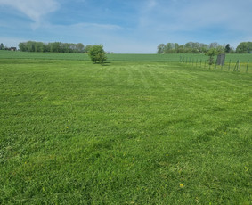 Žolės pjovimas ir aplinkos priežiūra / MB Žolvita / Darbų pavyzdys ID 4007447