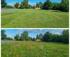 Žolės pjovimas ir aplinkos priežiūra / MB Žolvita / Darbų pavyzdys ID 4007451