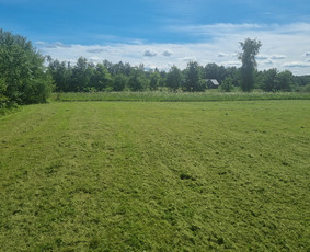 Žolės pjovimas ir aplinkos priežiūra / MB Žolvita / Darbų pavyzdys ID 4007461