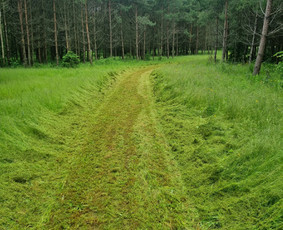 Žolės pjovimas ir aplinkos priežiūra / MB Žolvita / Darbų pavyzdys ID 4007463