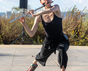 Privačios muzikos pamokos - Fleitos pamokos - 4