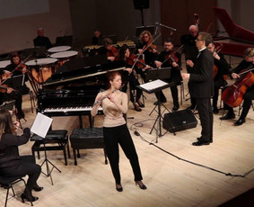 Privačios muzikos pamokos - Fleitos pamokos - 1