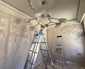 Skubus elektriko iškvietimas - Elektros darbai - 3