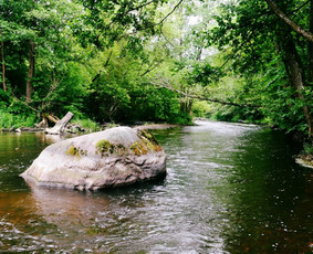 Baidarių žygiai Šventąja, Širvinta, Vilnele, Nerimi / Baidarių žygiai. / Darbų pavyzdys ID 4008569