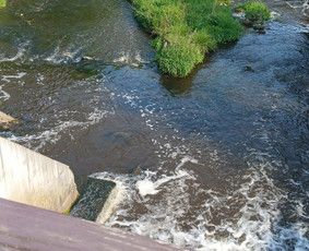 Baidarių žygiai Šventąja, Širvinta, Vilnele, Nerimi / Baidarių žygiai. / Darbų pavyzdys ID 4009075