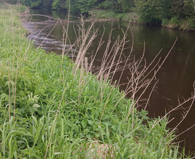 Baidarių žygiai Širvinta, Šventąja, Vilnele / Baidarių žygiai Širvinta / Darbų pavyzdys ID 4009087