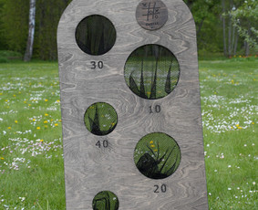 Lauko žaidimų nuoma Šiauliuose / Lauko žaidimų nuoma / Darbų pavyzdys ID 4010579
