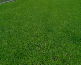 Trinkelės,aplinka,gerbūvis,terasos,stoginės / Gerbūvio stilius / Darbų pavyzdys ID 4010727