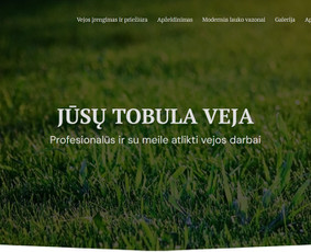 Internetinių svetainių/el. parduotuvių kūrimas ir priežiūra - Svetainių kūrimas - 2 Svetainių kūrimas - Internetinių svetainių/el. parduotuvių kūrimas ir priežiūra - 2