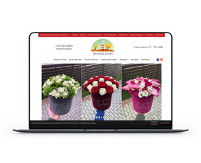 El. parduotuvių kūrimas (Prestashop) - Programavimas su WordPress - 3 Programavimas su WordPress - El. parduotuvių kūrimas (Prestashop) - 3