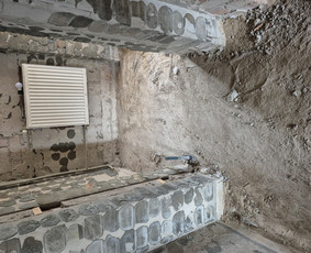 Griovimo darbai šiukšliu išvežimas / Audrius / Darbų pavyzdys ID 4012915