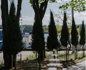 Nuoma foto sienelių ir šventinės dekoracijos. / O’Decor / Darbų pavyzdys ID 4013125