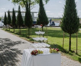 Nuoma foto sienelių ir šventinės dekoracijos. / O’Decor / Darbų pavyzdys ID 4013127