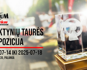 Grafinis dizainas - Vizualinis identitetas - Maketavimas / Blank House / Darbų pavyzdys ID 4014171