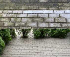 Visų paviršių plovimas – visoje Lietuvoje! / ŠVAROS DOKAS / Darbų pavyzdys ID 4014807