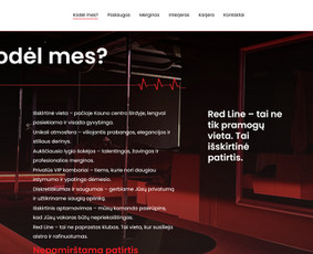 Internetinės svetainės, el. parduotuvės, Seo, Ads, Di-pro. / Infotecheris / Darbų pavyzdys ID 4017451