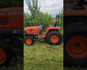 Zoles pjovimas, zemes frezavimas, kelmu salinimas / Mb Žolva / Darbų pavyzdys ID 4017505