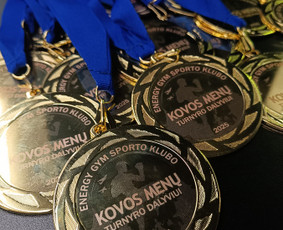 Metalo Pjovimas Cnc Lazeriu, 3d Spausdinimas, Graviravimas / GF Group / Darbų pavyzdys ID 4019427