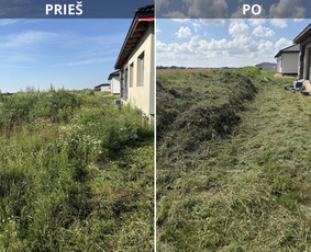 Žolės ir vejos pjovimas vėjapjove ir trimeriu. - Aplinka, sodas - 4 Aplinka, sodas - Žolės ir vejos pjovimas vėjapjove ir trimeriu. - 4