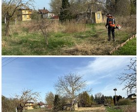 Vaismedžių genėjimas - Aplinka, sodas - 1 Aplinka, sodas - Vaismedžių genėjimas - 1