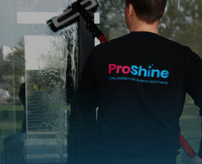Visos valymo paslaugos / MB ProShine / Darbų pavyzdys ID 4021379