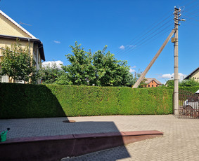 Aplinkos priežiūra, vejos įrengimas, aeravimas, genėjimas - Gyvatvorių karpymas - 2 Gyvatvorių karpymas - Aplinkos priežiūra, vejos įrengimas, aeravimas, genėjimas - 2
